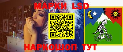 mdma Аргун