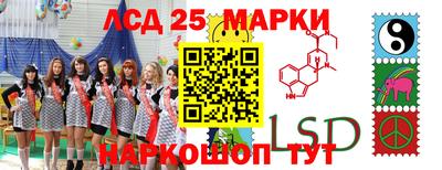 mdma Аргун