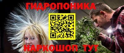 mdma Аргун